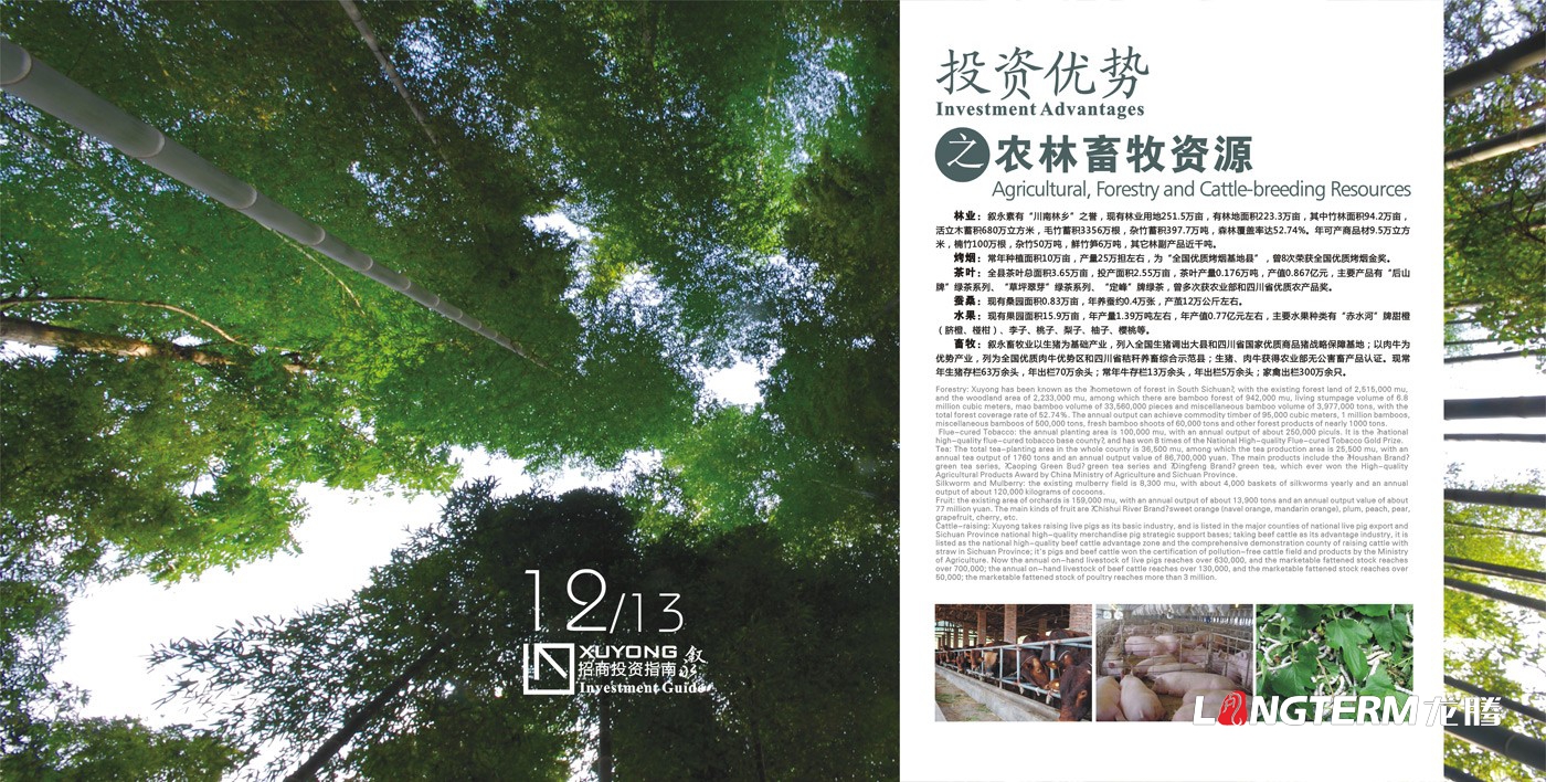 敘永園區(qū)展廳招商電子畫冊設(shè)計